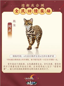 ce附加天龙八部私服